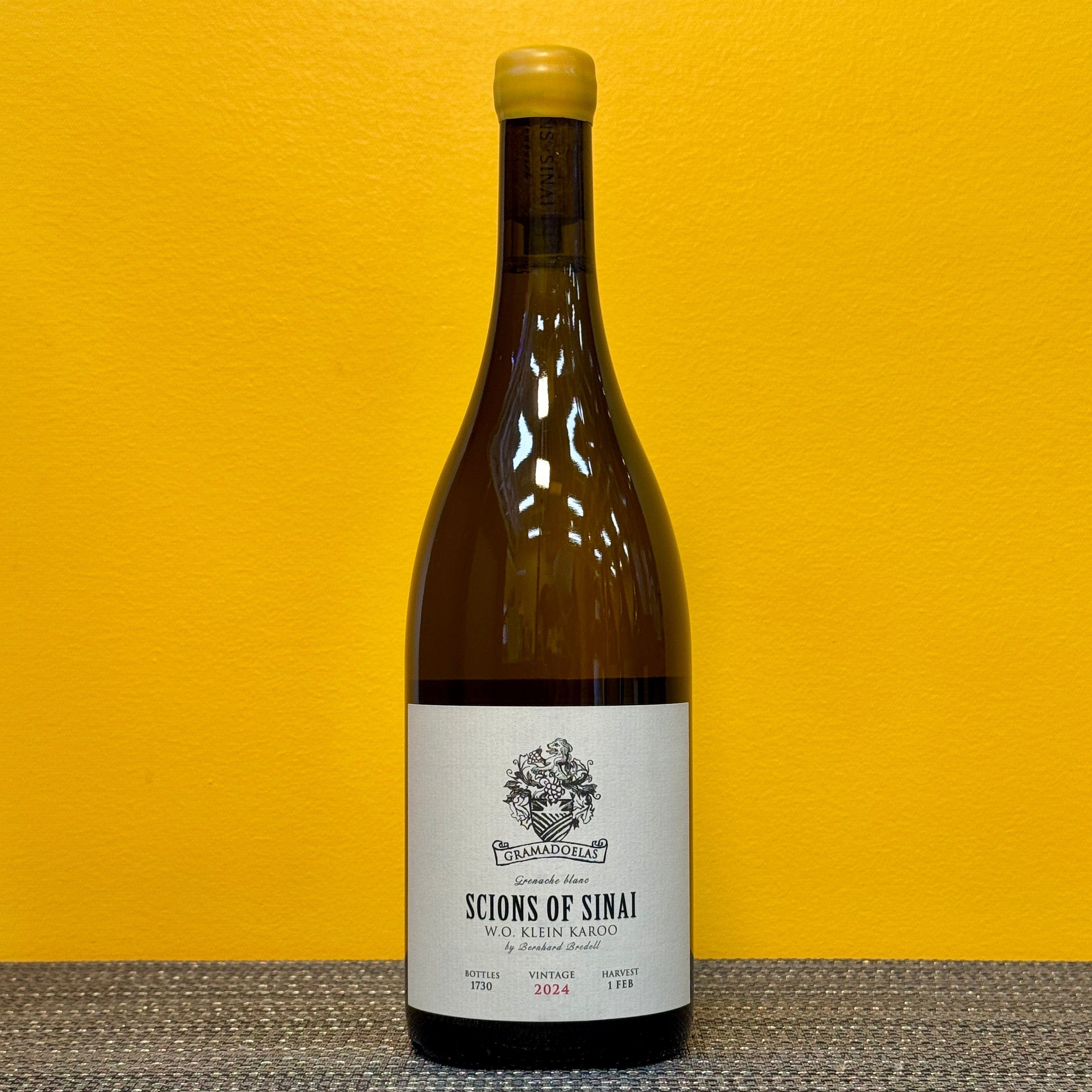 サラン SALINS 葡萄レリーフ Grenache Blanc Gramadoelas 2024, Scions of Sinai – Doctorbird Market