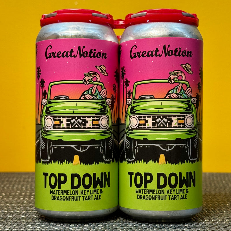 Top Down Tart Ale, Great Notion (4pk)