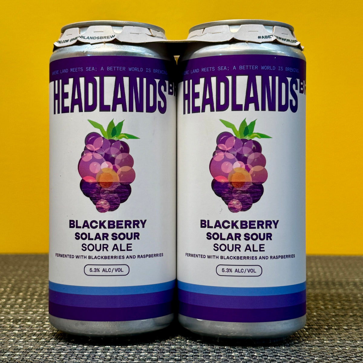 Blackberry Solar Sour, Headlands (4pk)