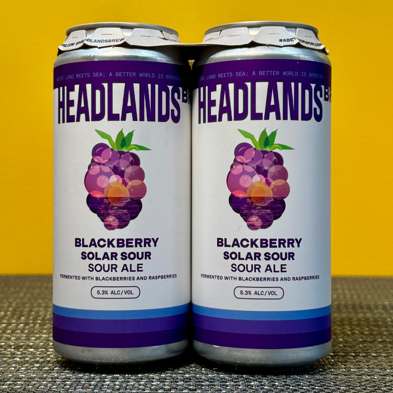 Blackberry Solar Sour, Headlands (4pk)