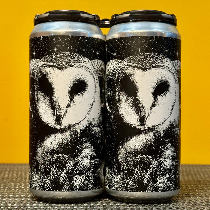 Of Mystery and Wonder XPA, There Does Not Exist (4pk)